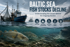 Baltic Sea Fish Stocks: Understanding the Causes Behind the Ongoing Decline