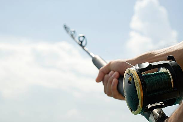 best lure for jack fish Popping for Monsters: The Jack Crevalle