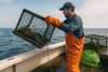 New Lobster Fishing Regulations Are Here—Is Your Gear Compliant?