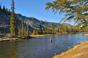 10 Best Places To Go River Fishing