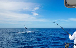 A Guide to Successful Deep Sea Fishing
