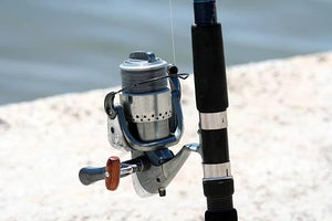 Buying a Fishing Reel – What to Consider