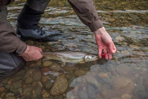 Catch and Release Fishing - How to Do it Right