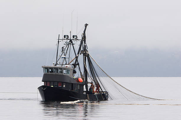 Common Fishing Methods – 10 Effective Ones – Deep Blue Fishing Supplies