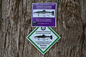 Conservation Efforts for Recreational Fishing Every Angler Must Know