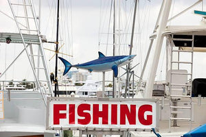 Fishing Charters – Part of a Great Vacation