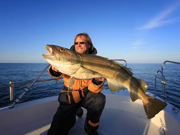Fishing for Cod – Off the Coast of Maine