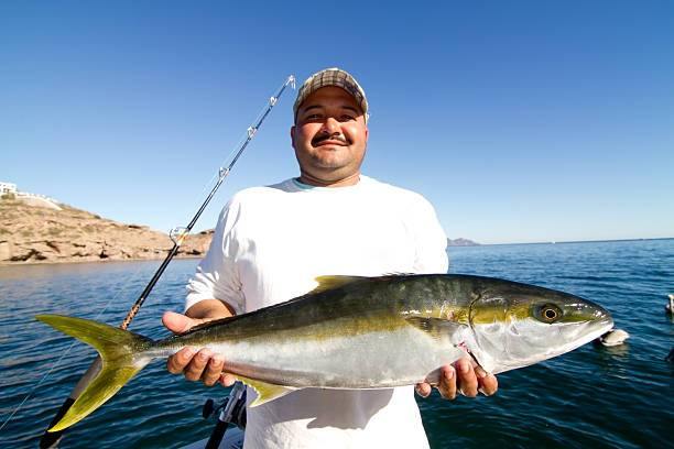 Fishing for Yellowtail – All About Doing It