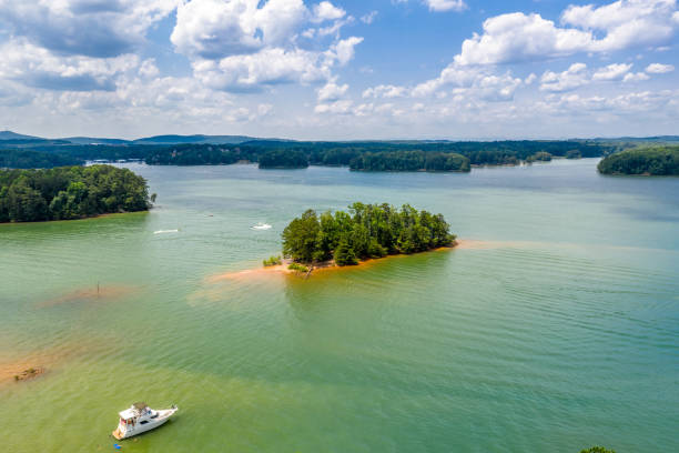 Fishing in Lake Lanier - Variety And Quantity