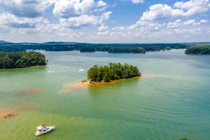 Fishing in Lake Lanier - Variety And Quantity
