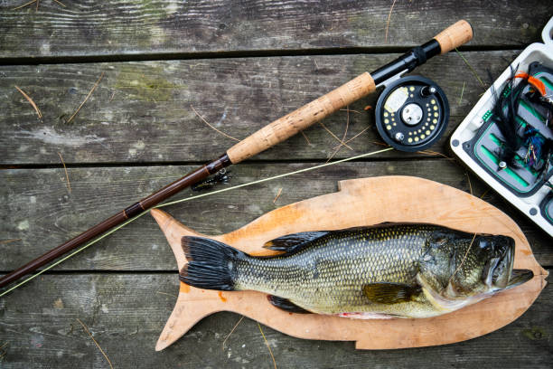 Fly Fishing for Bass – Why Not Try It