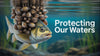 Impact of Invasive Species on Fisheries: Ecological, Economic, and Community Consequences