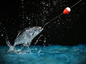 Night Fishing – Be Prepared for Anything