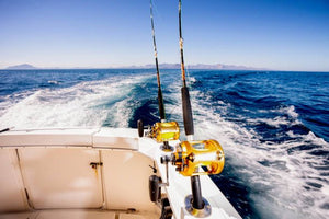 Saltwater Fishing – Requirements for Doing It