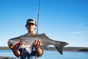 Striped Bass Fishing – With the Right Tackle
