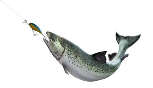 Master the Art of Trolling with These Game-Changing Trolling Lures!