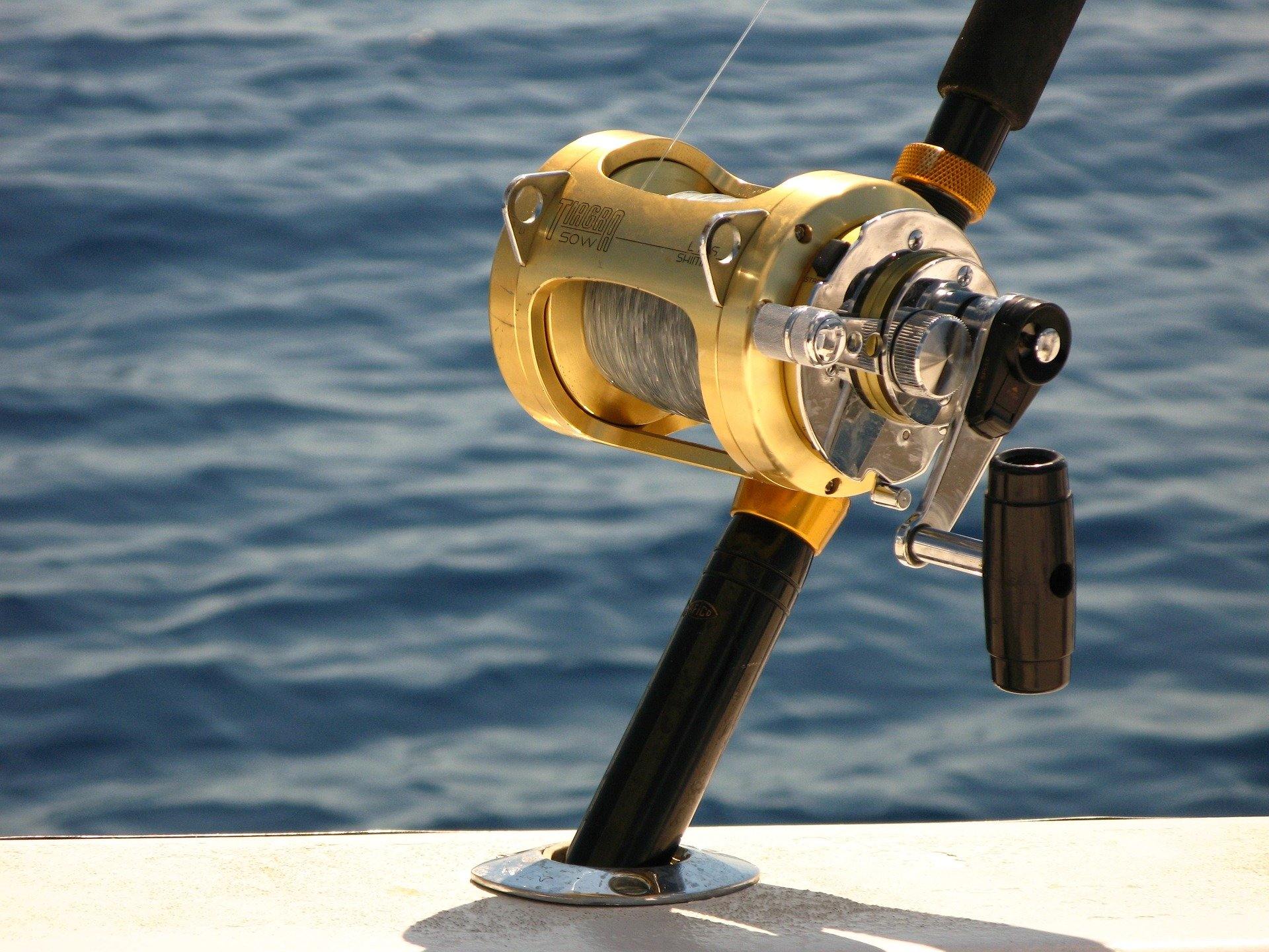 Types of Fishing Reels – Choosing the Right One