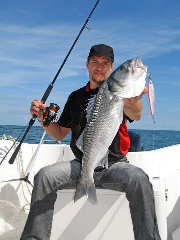 Virginia Offshore Fishing - What to Expect