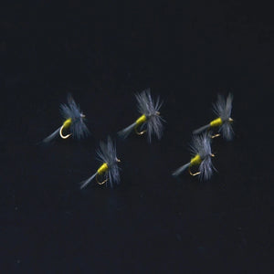 Contemplator Blue Winged Olive Dry Flies - 5 Pack, Size 16, premium fly fishing lures for trout with lifelike olive bodies and gray wings.