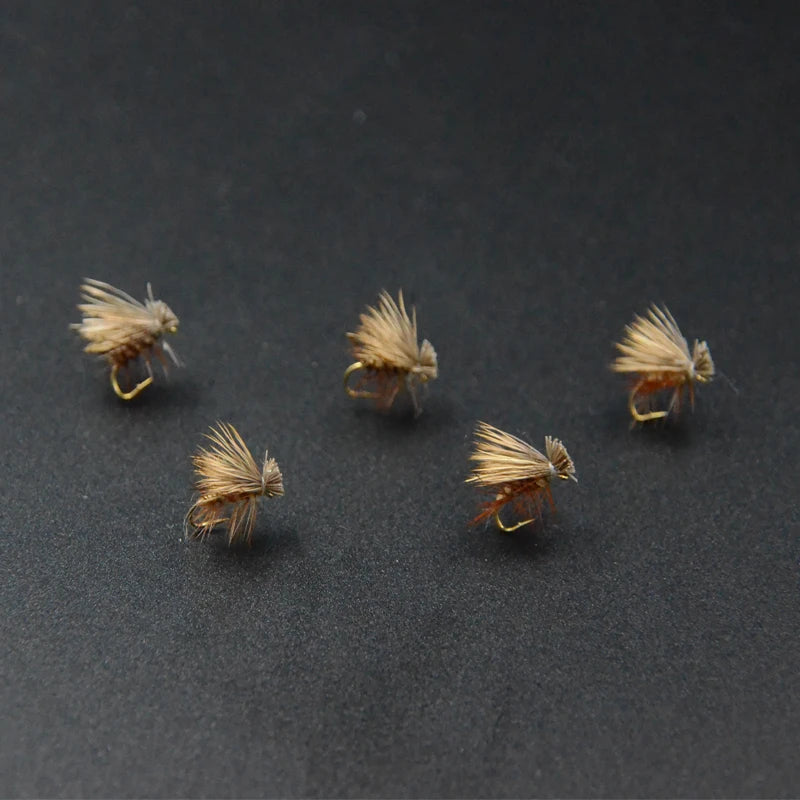 Abound Elk Hair Caddis Dry Flies - 6 Pack, Size 14, Brown/Tan, premium fly fishing lures for trout, steelhead, and grayling with natural elk hair for superior buoyancy.