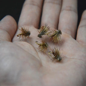 Abound Elk Hair Caddis Dry Flies - 6 Pack, Size 14, Brown/Tan, premium fly fishing lures for trout, steelhead, and grayling with natural elk hair for superior buoyancy.