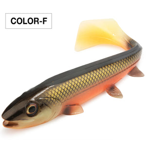 Spinpoler Bombshad Square Tail Swimbait – Premium soft fishing lure with a unique square tail paddle for maximum water displacement, lifelike 3D eyes, and realistic rolling action. Designed for catching big pike, bass, musky, walleye, and saltwater predators in lakes, rivers, reservoirs, and coastal waters.