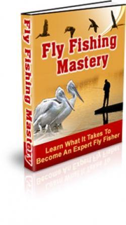 fly fishing beginner guide